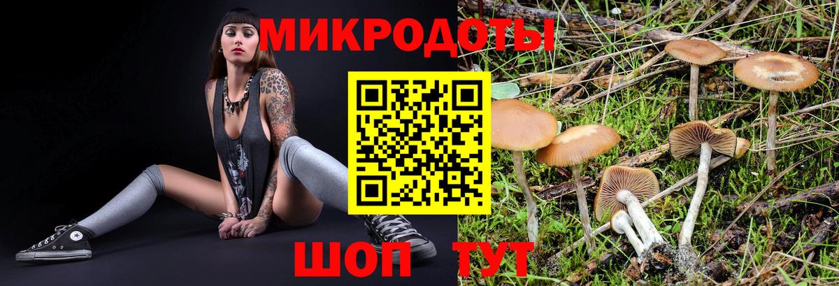 Псилоцибиновые грибы прущие грибы  Вход с VPN  Жигулёвск 